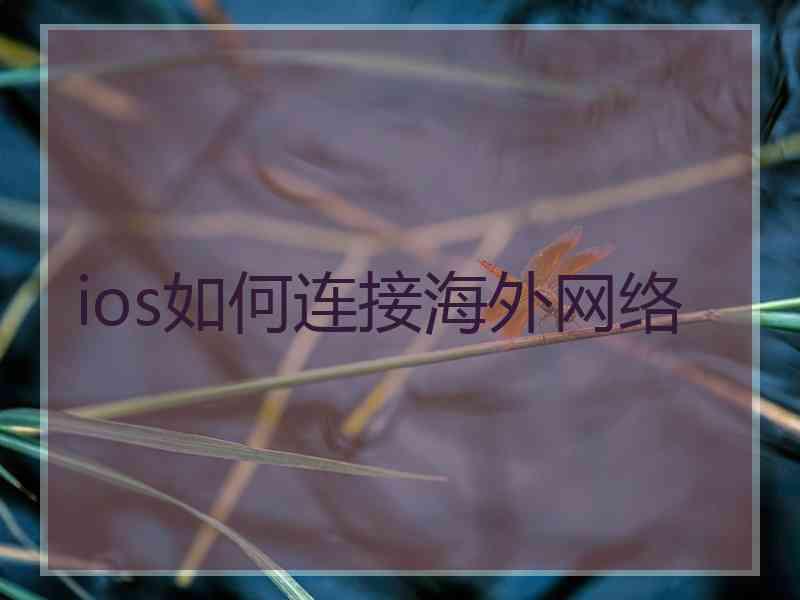 ios如何连接海外网络