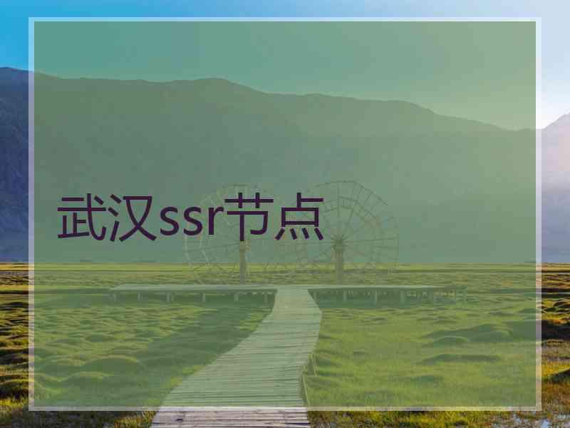 武汉ssr节点