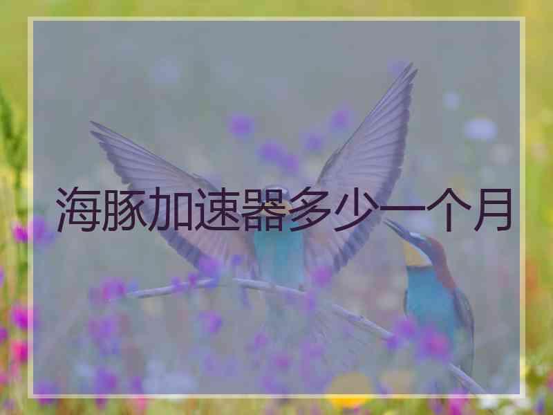 海豚加速器多少一个月