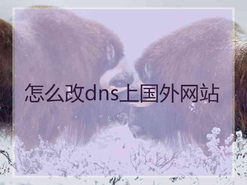 怎么改dns上国外网站