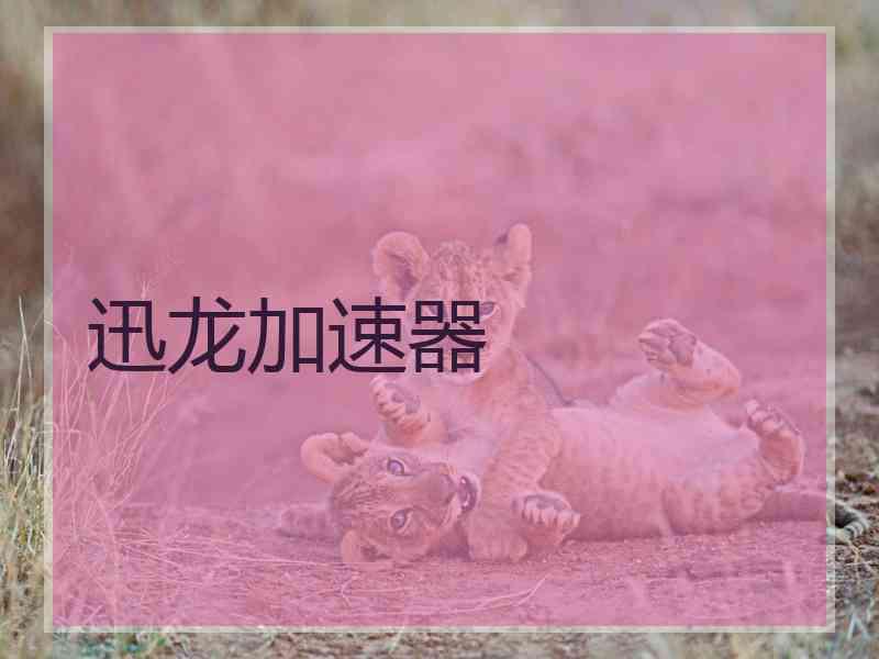 迅龙加速器