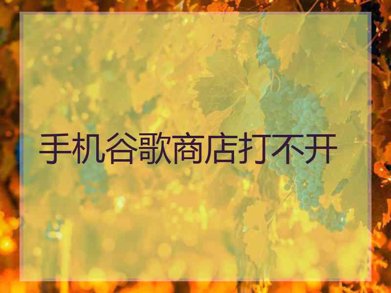 手机谷歌商店打不开