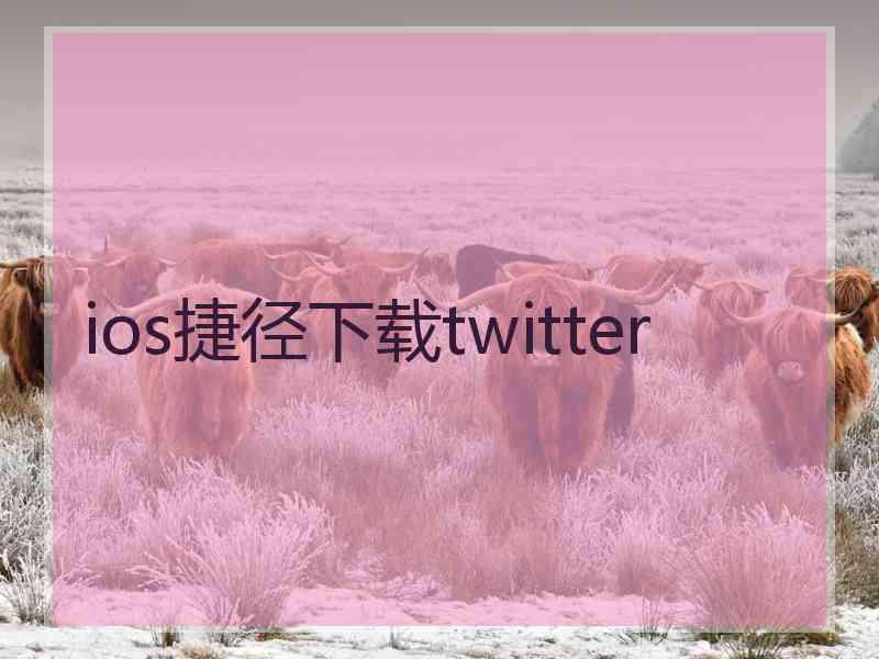 ios捷径下载twitter