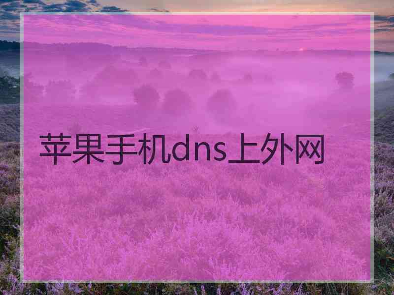苹果手机dns上外网