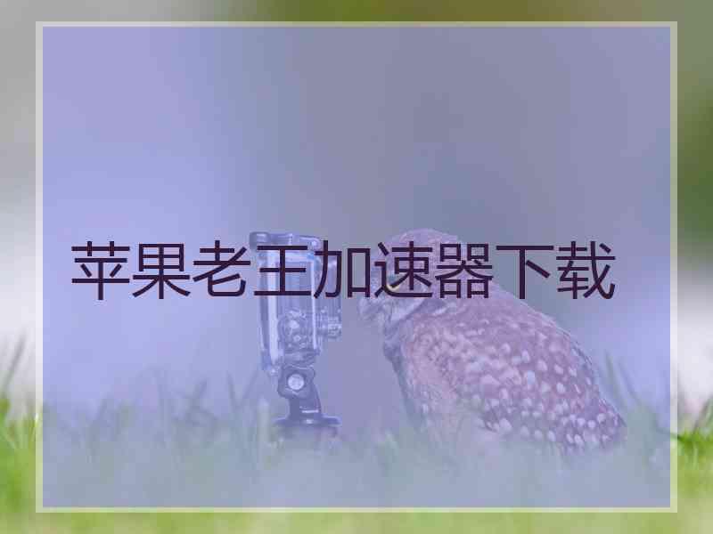 苹果老王加速器下载