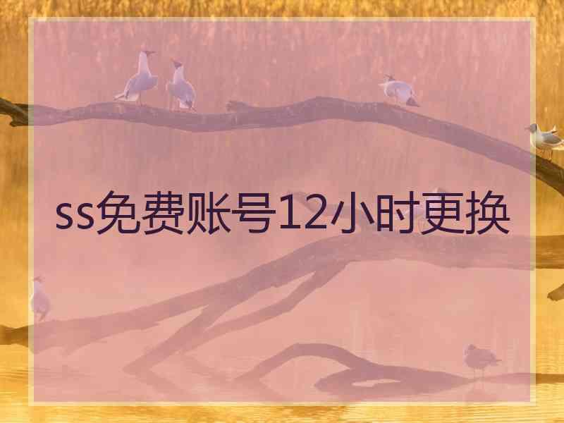 ss免费账号12小时更换