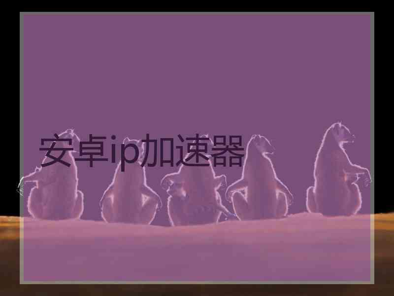 安卓ip加速器