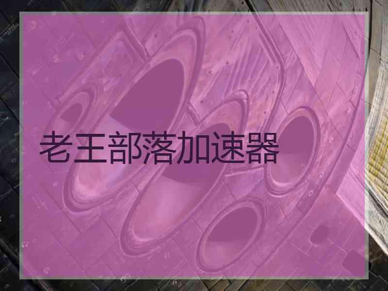 老王部落加速器