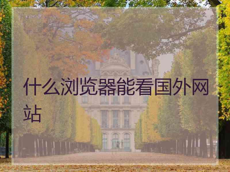 什么浏览器能看国外网站