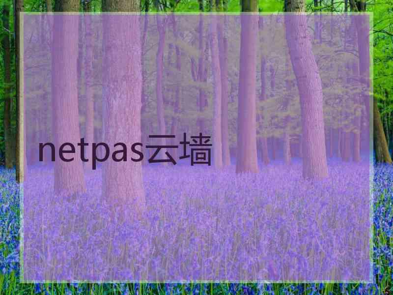 netpas云墙