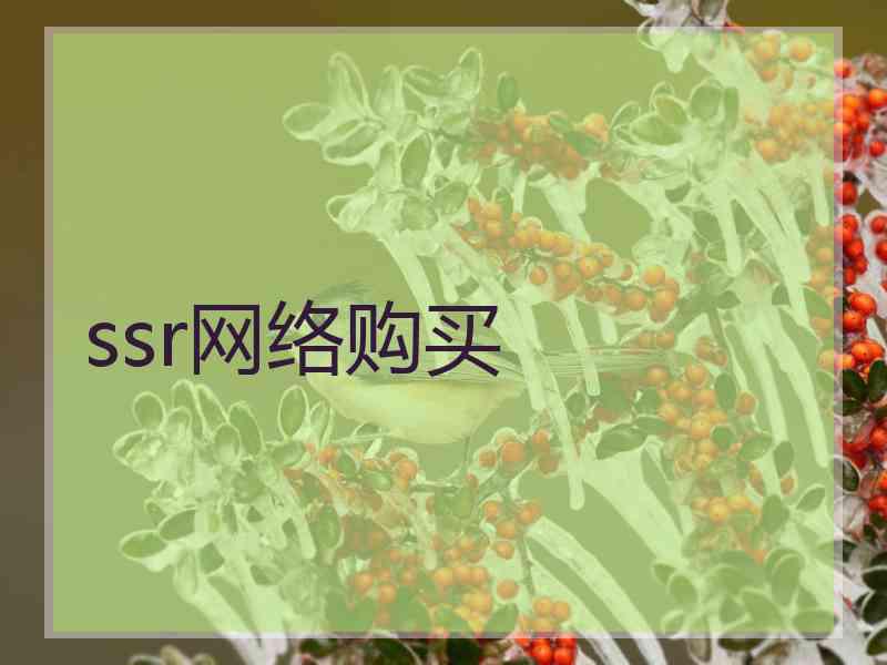 ssr网络购买