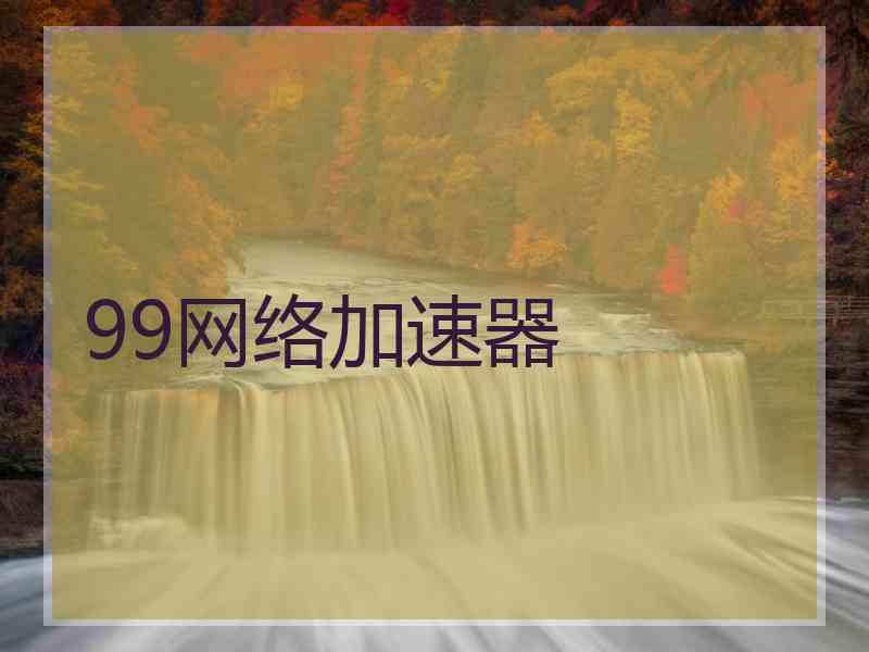 99网络加速器