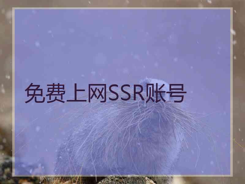免费上网SSR账号