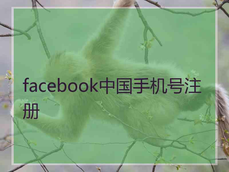 facebook中国手机号注册