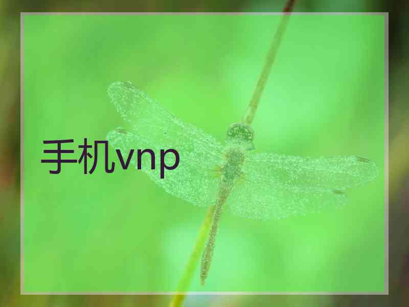手机vnp