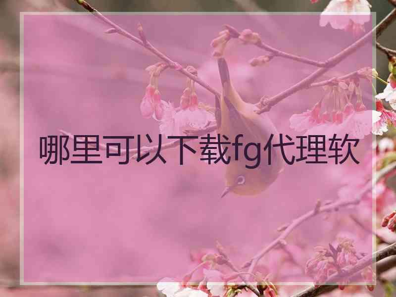 哪里可以下载fg代理软