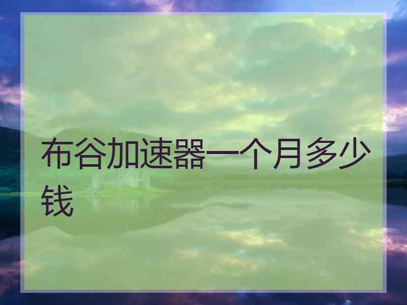布谷加速器一个月多少钱