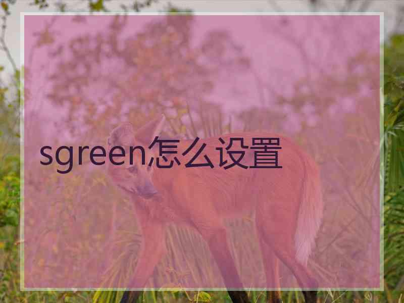 sgreen怎么设置