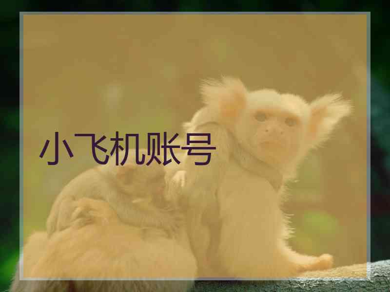 小飞机账号