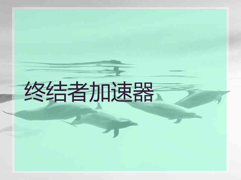 终结者加速器