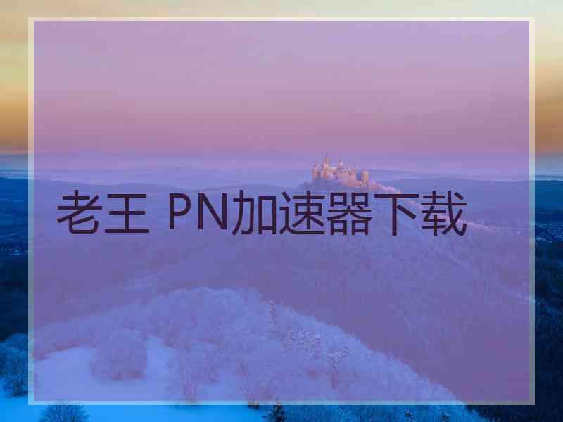 老王 PN加速器下载