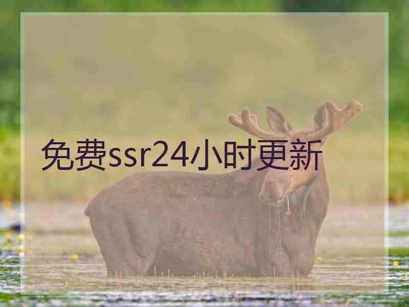 免费ssr24小时更新