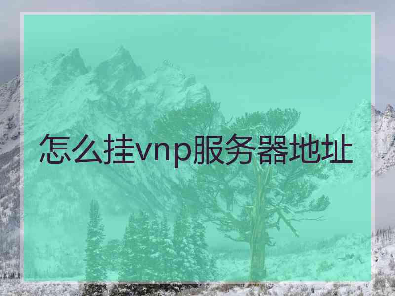 怎么挂vnp服务器地址