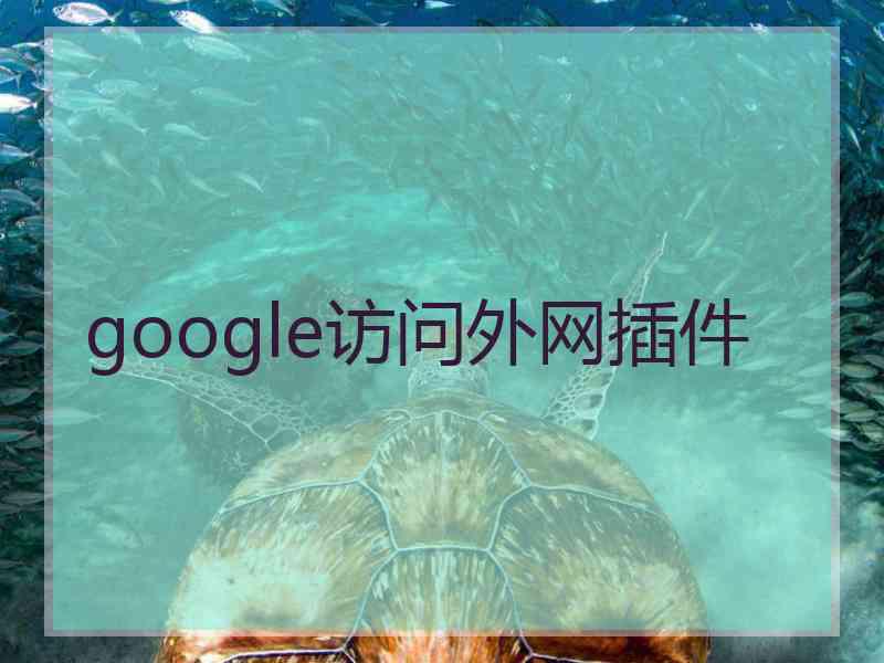 google访问外网插件