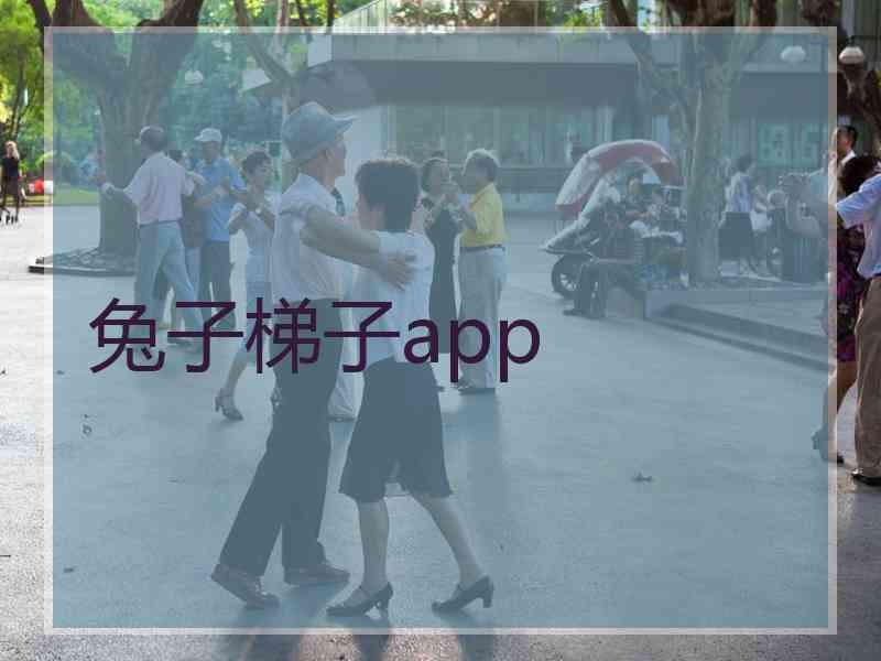 兔子梯子app