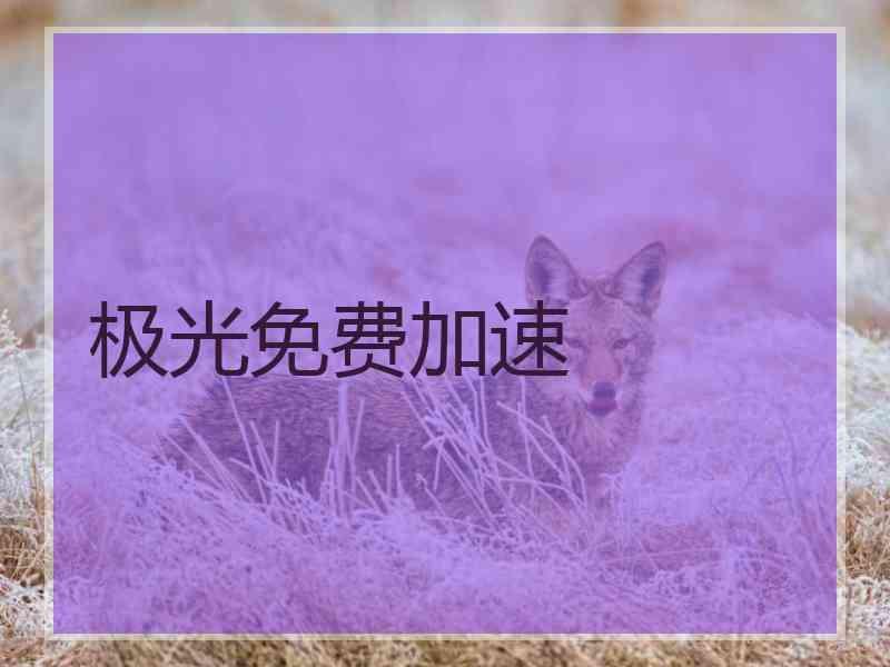 极光免费加速