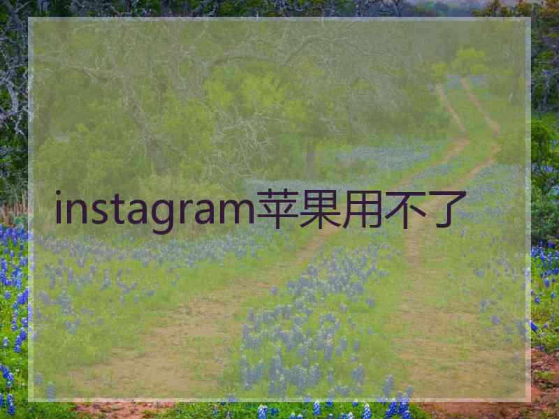 instagram苹果用不了