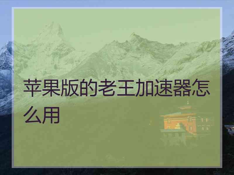 苹果版的老王加速器怎么用