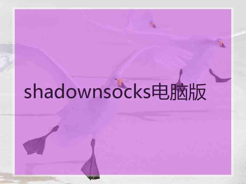 shadownsocks电脑版