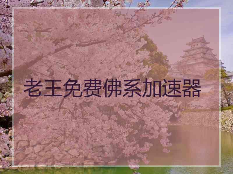 老王免费佛系加速器