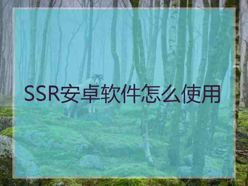 SSR安卓软件怎么使用