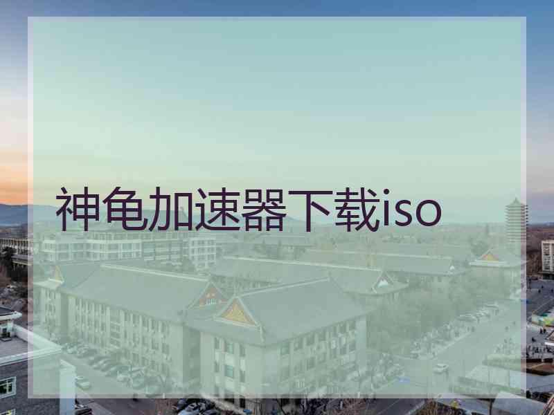 神龟加速器下载iso