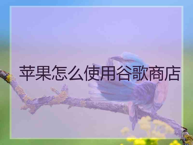 苹果怎么使用谷歌商店