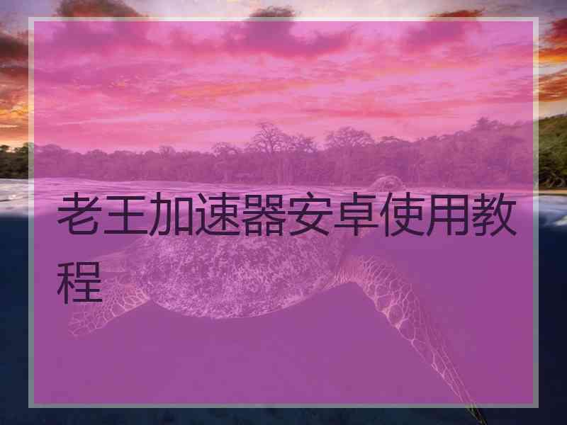 老王加速器安卓使用教程