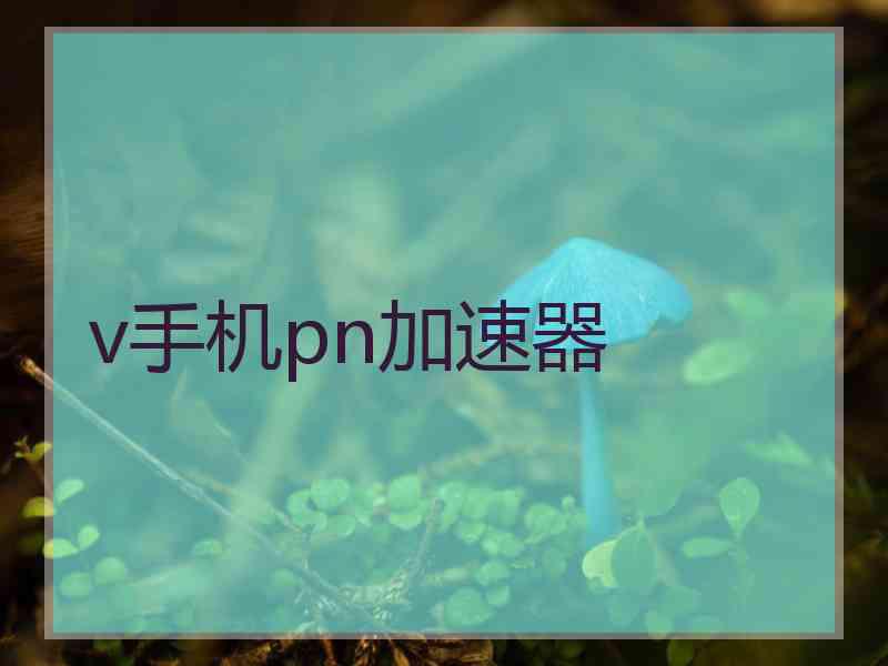 v手机pn加速器