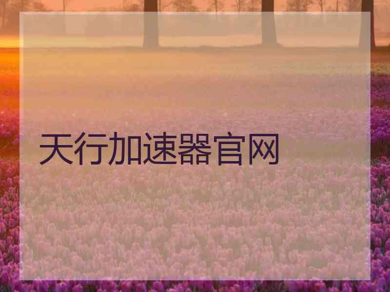天行加速器官网