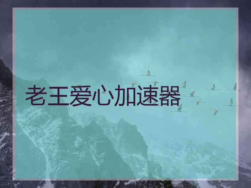 老王爱心加速器