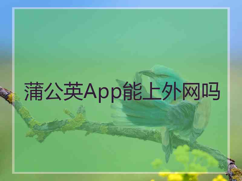 蒲公英App能上外网吗