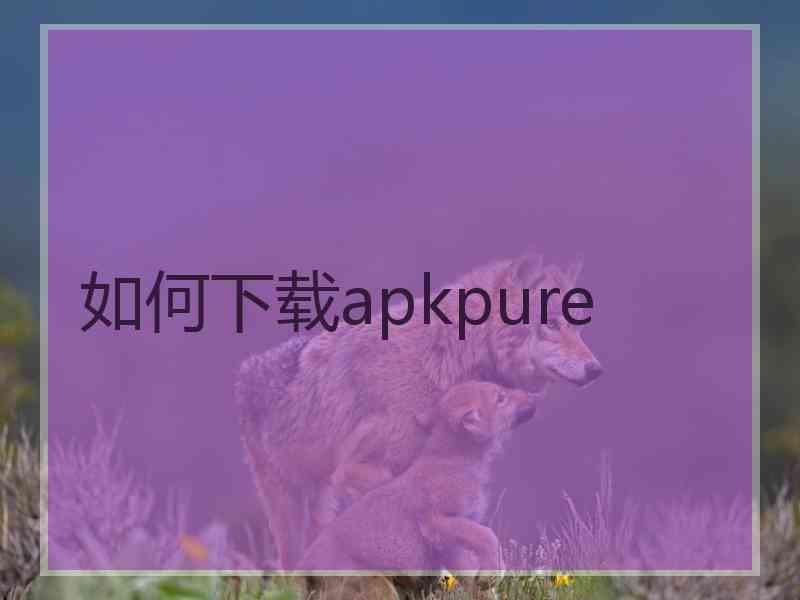 如何下载apkpure