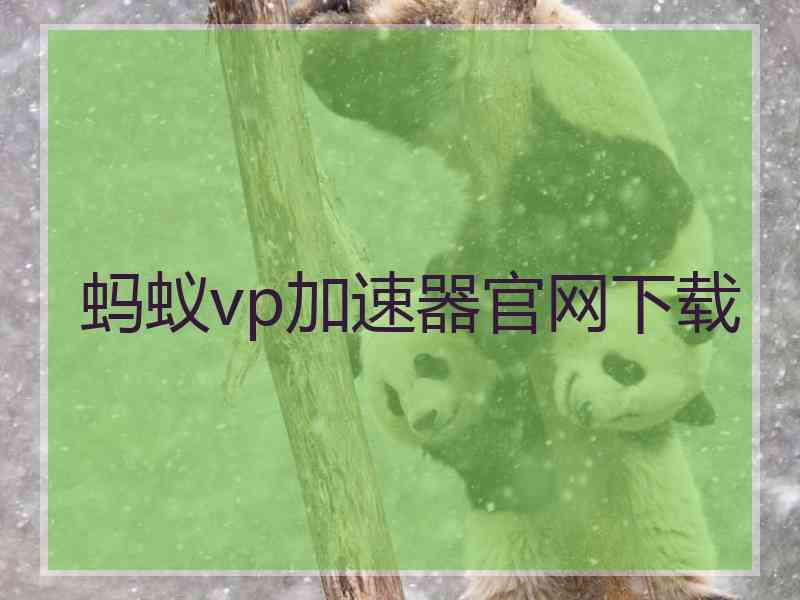 蚂蚁vp加速器官网下载