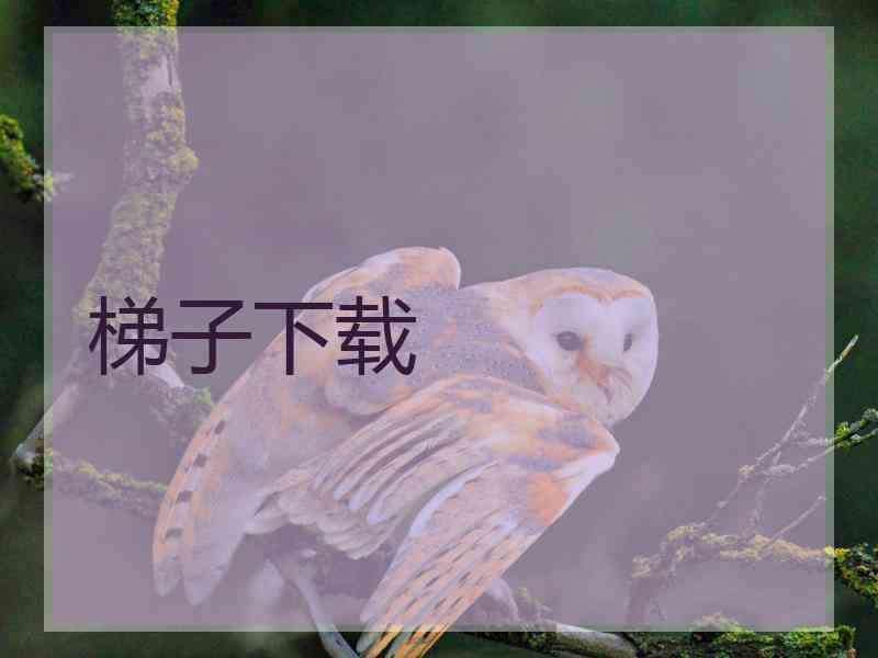 梯子下载