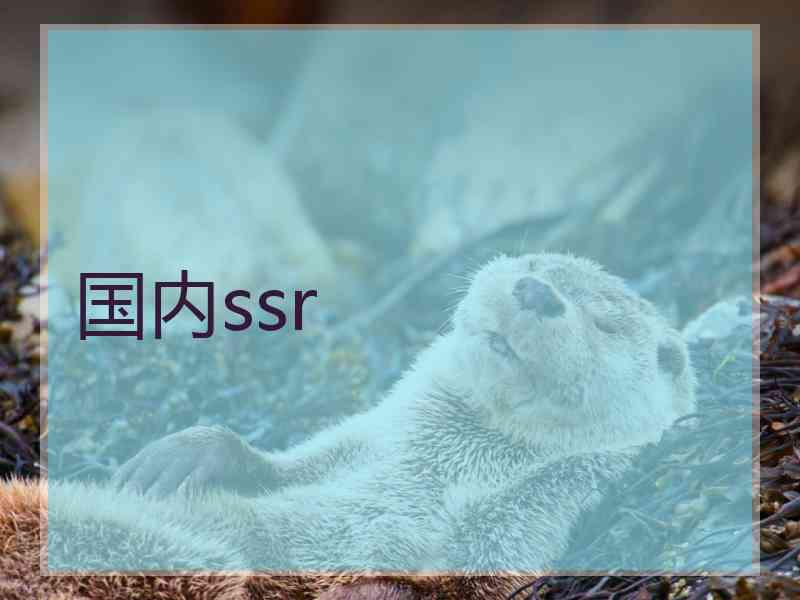 国内ssr