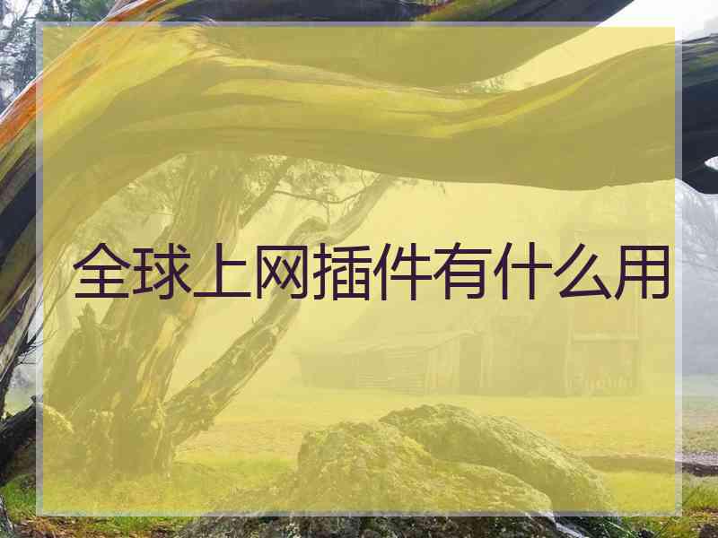 全球上网插件有什么用