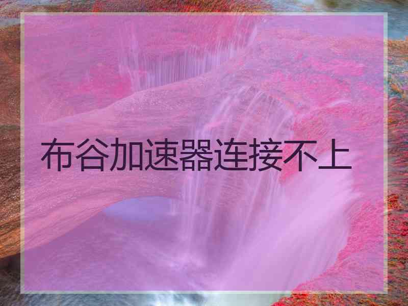 布谷加速器连接不上