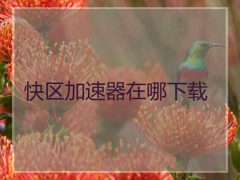 快区加速器在哪下载