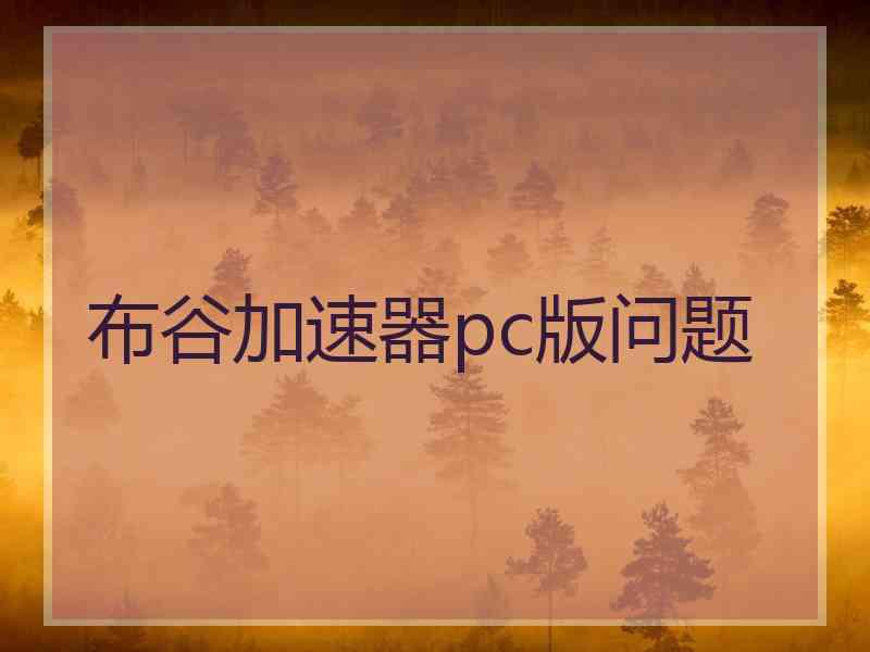 布谷加速器pc版问题